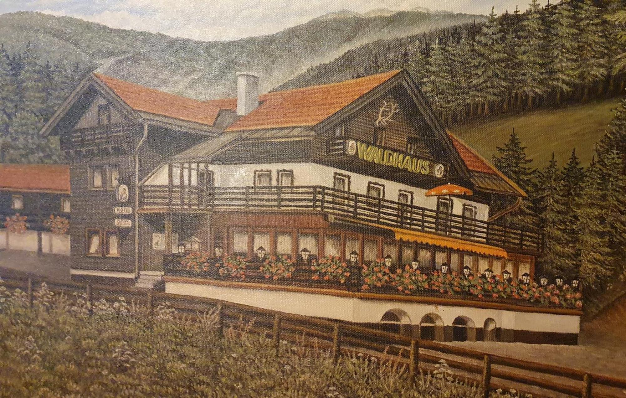 Hotel Waldhaus Bodenmais Exterior foto